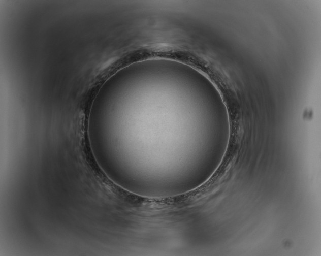 X0000103321301200809051137