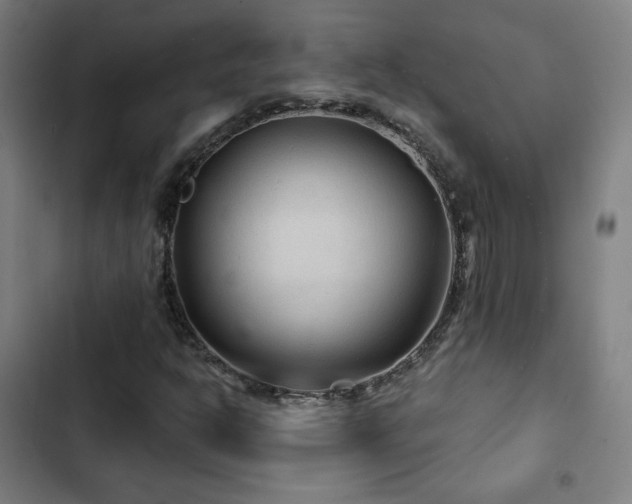 X0000103321302200809051137