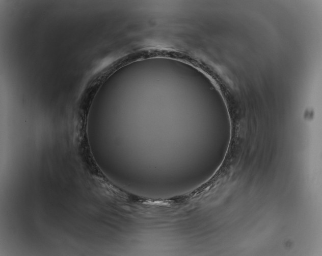 X0000103321303200809051137