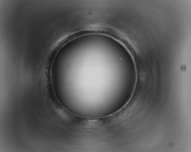 X0000103321304200809051137