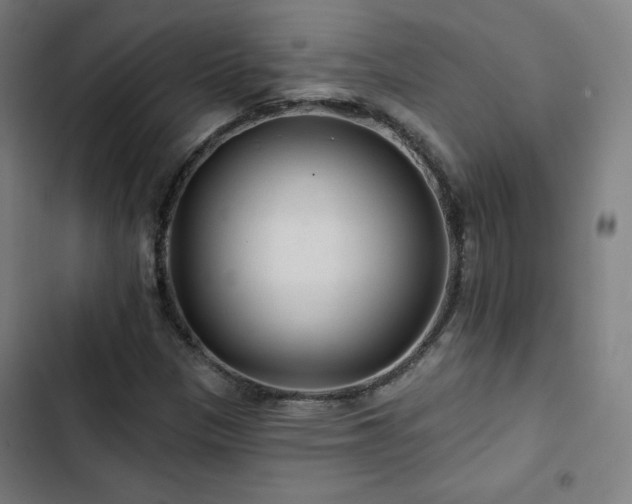 X0000103321305200809051137