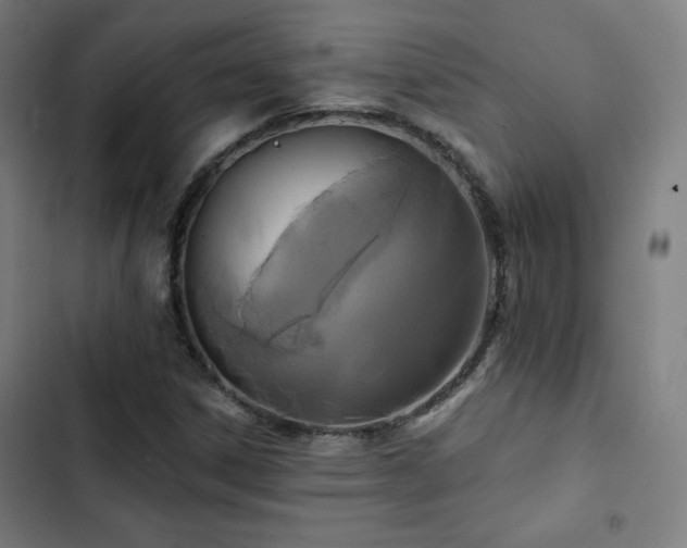 X0000103321306200809051137