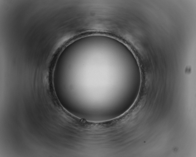 X0000103321307200809051137