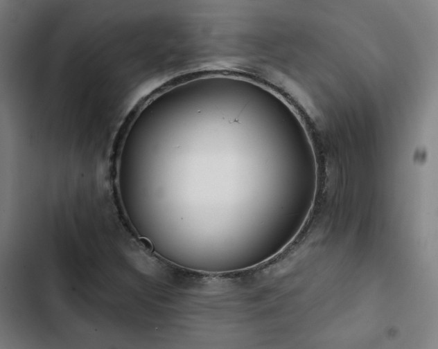 X0000103321308200809051137