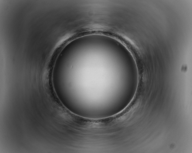 X0000103321309200809051137