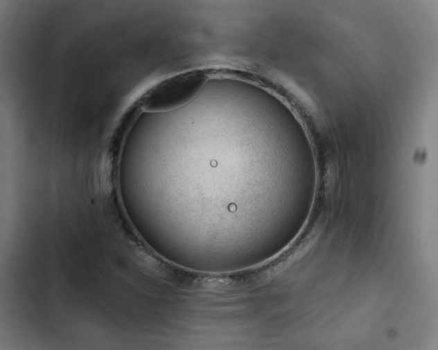 X0000103321310200809051137