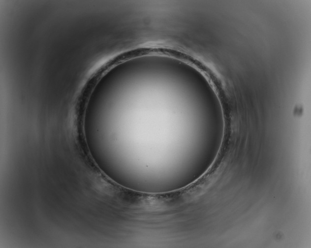 X0000103321311200809051137