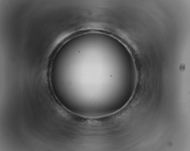 X0000103321312200809051137