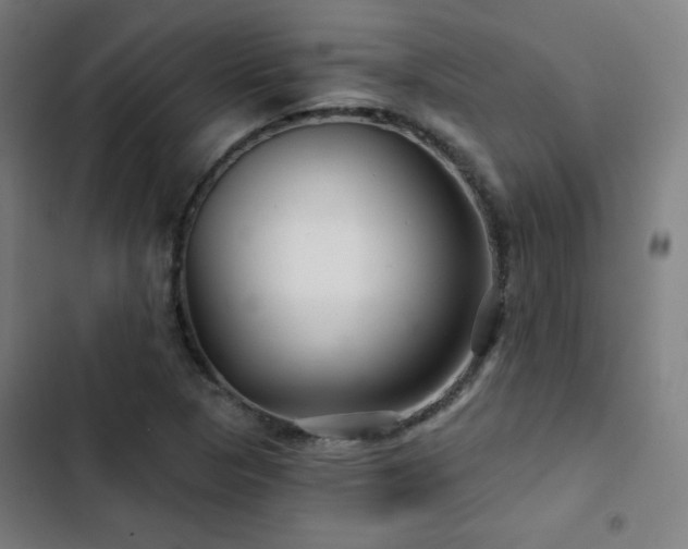 X0000103321313200809051137