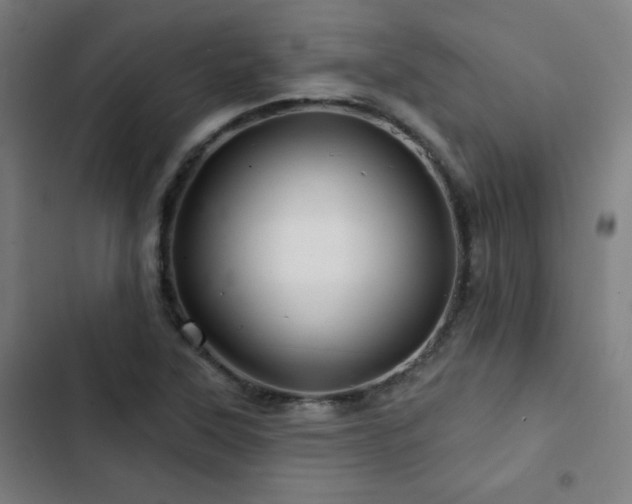 X0000103321315200809051138