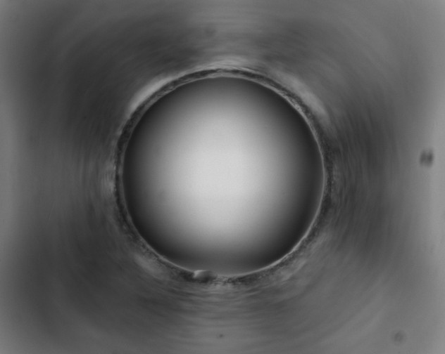X0000103321316200809051138