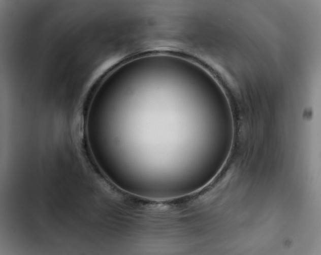 X0000103321317200809051138