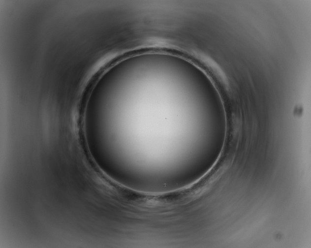 X0000103321318200809051138