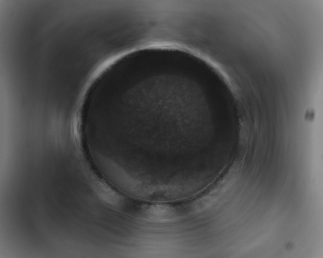 X0000103321319200809051138