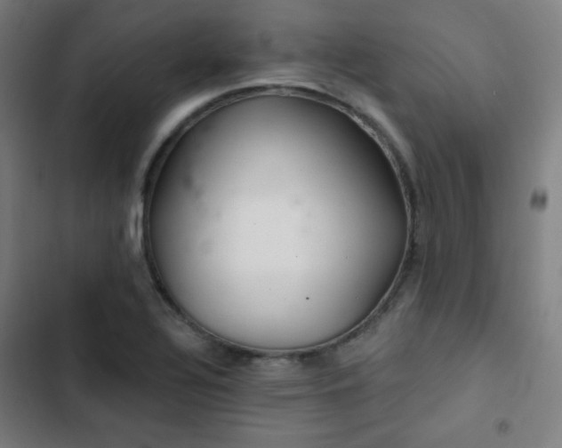 X0000103321320200809051138