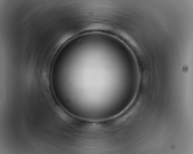 X0000103321321200809051138