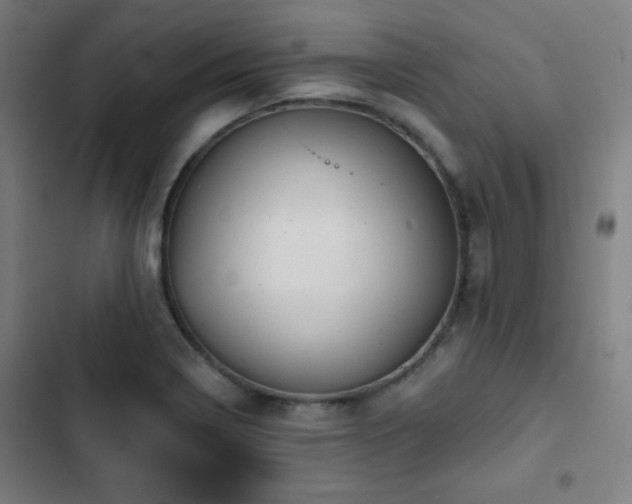 X0000103321322200809051138