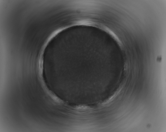 X0000103321323200809051138