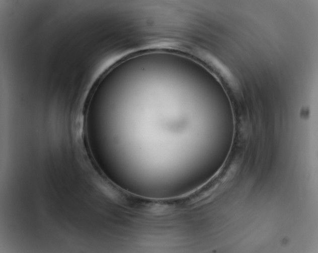 X0000103321324200809051138