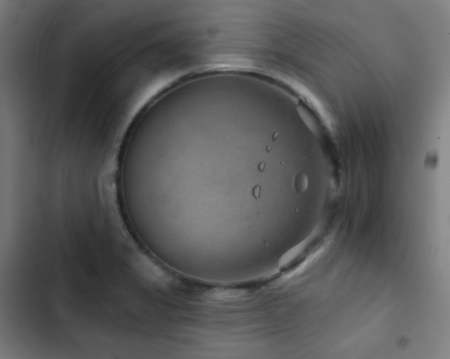 X0000103321325200809051138