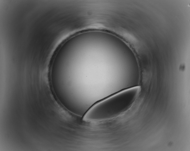 X0000103321326200809051138