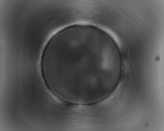 X0000103321327200809051138