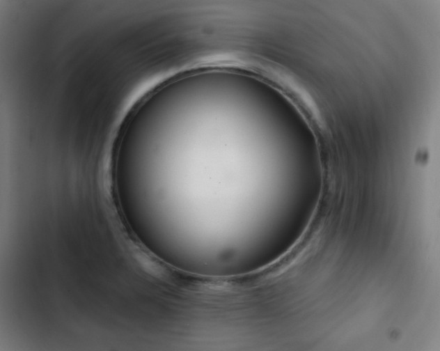 X0000103321328200809051138