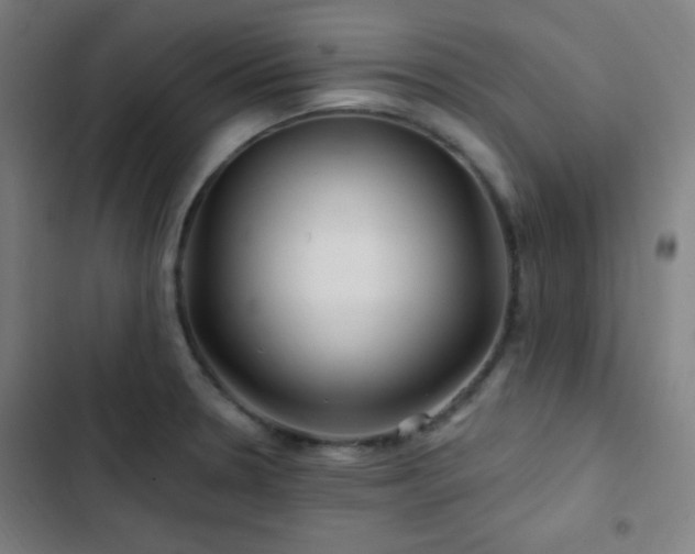 X0000103321330200809051138