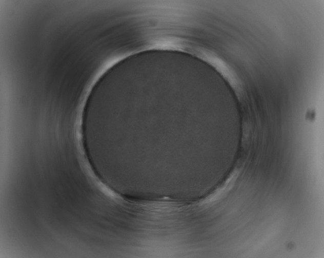 X0000103321331200809051138