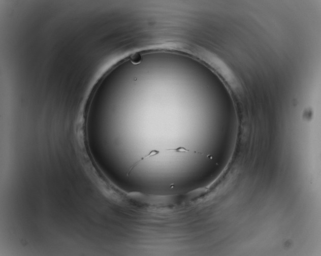 X0000103321332200809051138