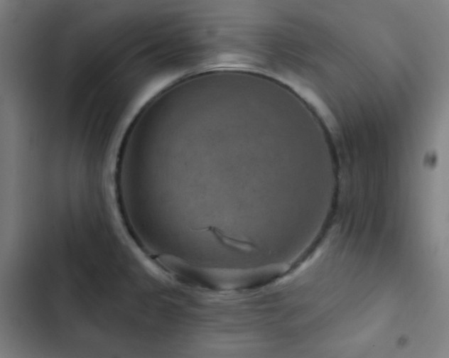 X0000103321333200809051138
