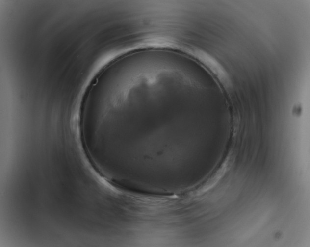 X0000103321334200809051138