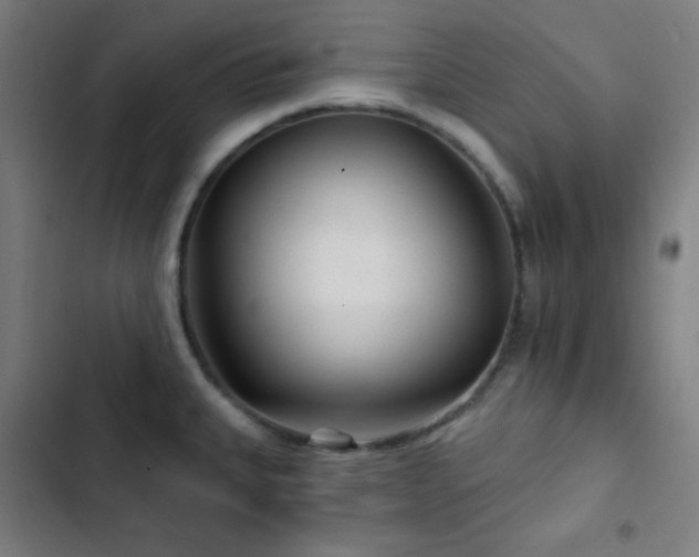 X0000103321335200809051138