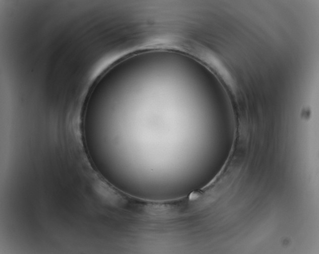 X0000103321336200809051138