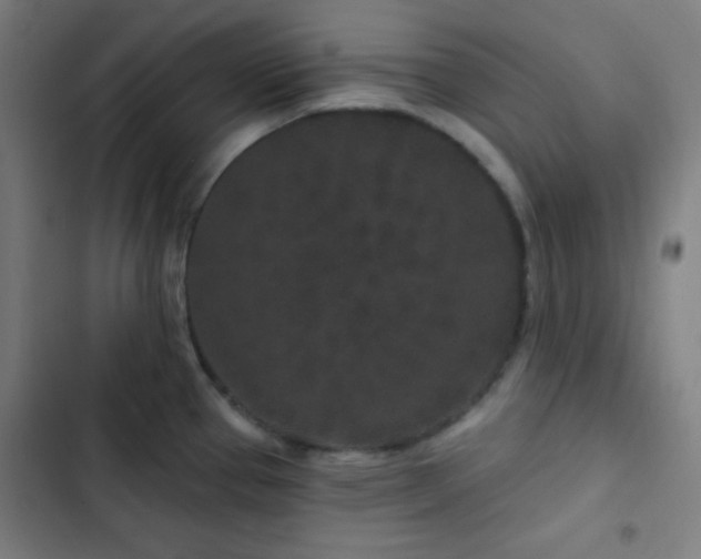 X0000103321337200809051138