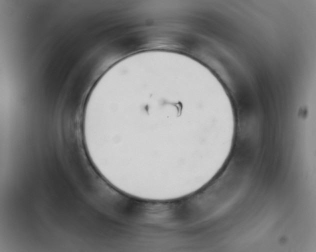 X0000103321338200809051138