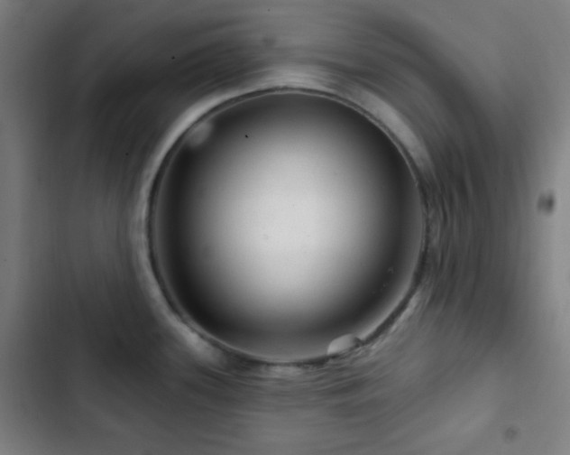 X0000103321339200809051138