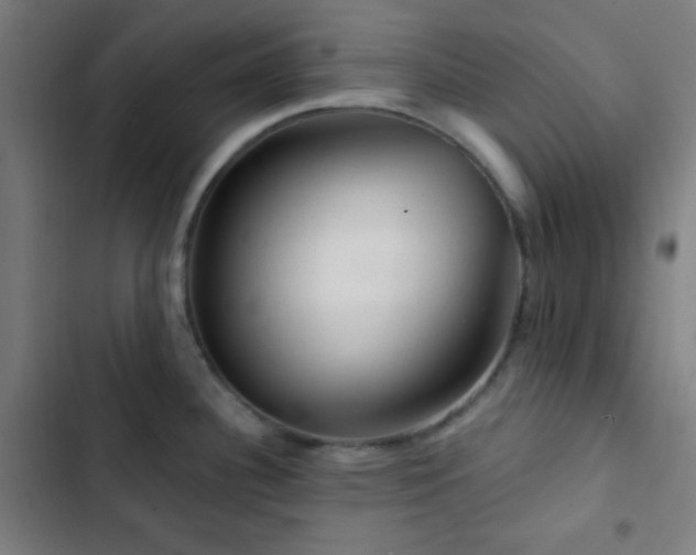 X0000103321340200809051138