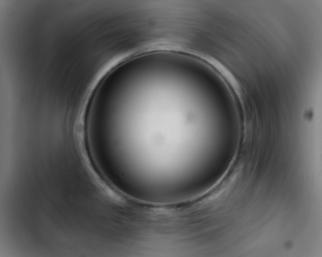 X0000103321341200809051138