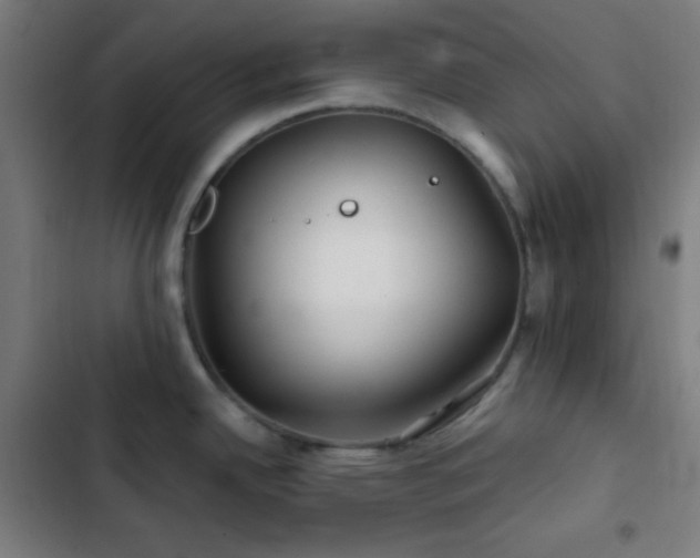 X0000103321342200809051138