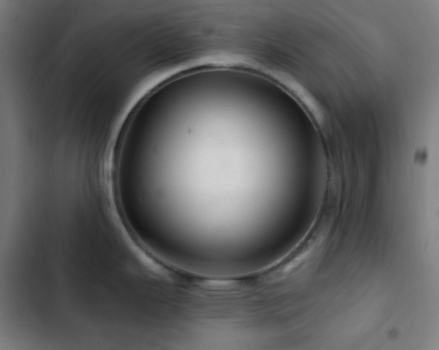 X0000103321343200809051138
