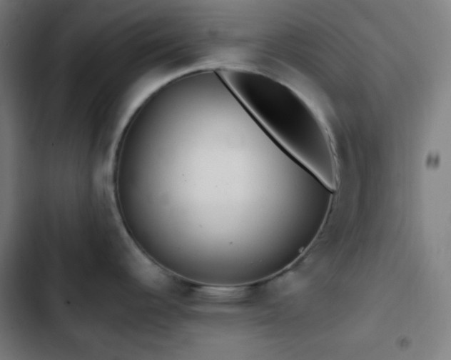 X0000103321344200809051138
