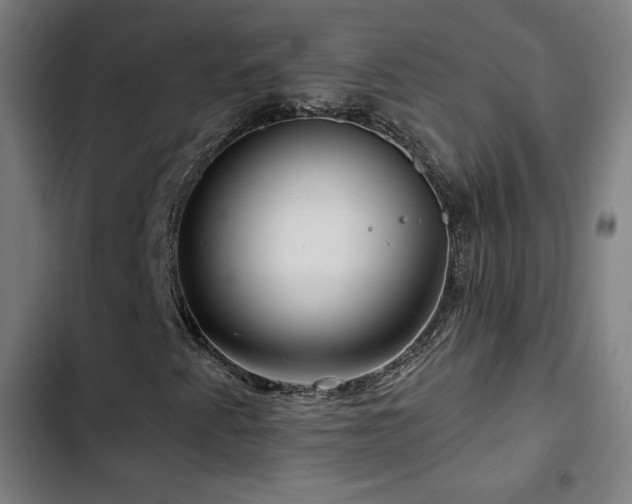 X0000103321345200809051137