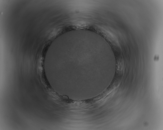 X0000103321346200809051137
