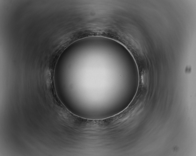 X0000103321347200809051137