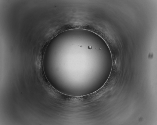X0000103321348200809051137