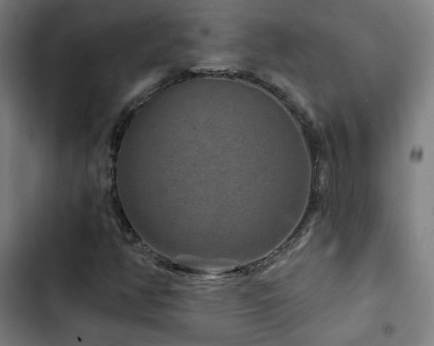 X0000103321350200809051137
