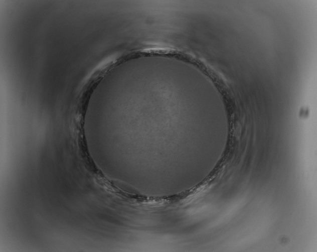 X0000103321351200809051137
