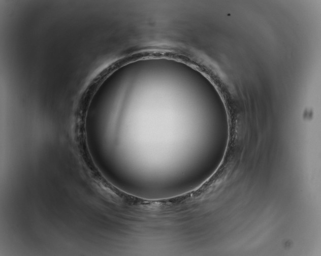 X0000103321352200809051137