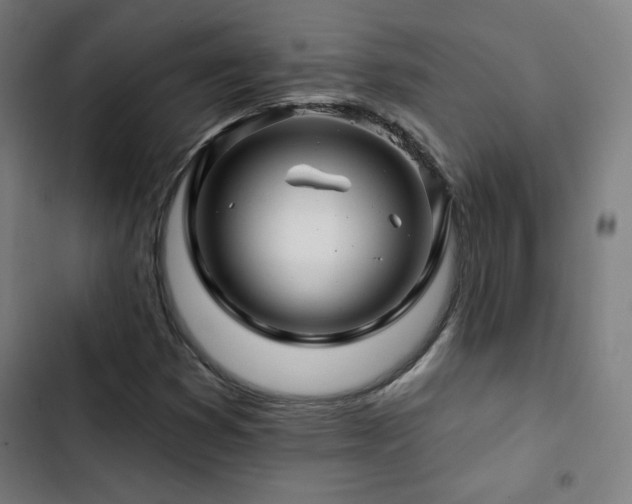 X0000103321353200809051137